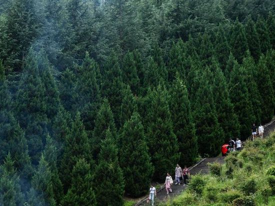 China issues guideline to boost energy conservation, carbon reduction