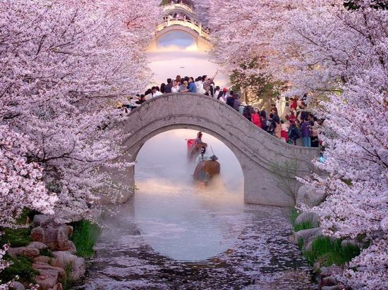 China sees 17.77 bln inter-regional trips in Q1