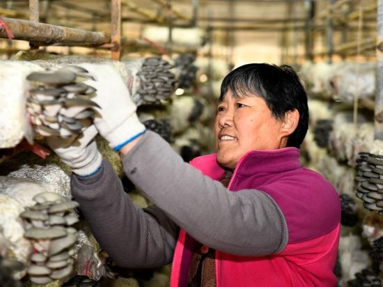 People's Daily English language App