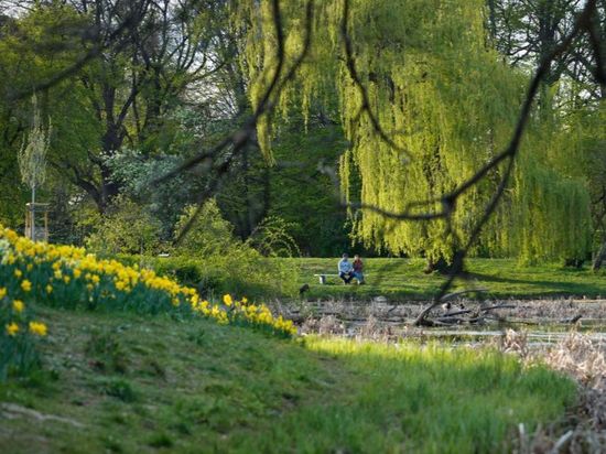 People's Daily English language App