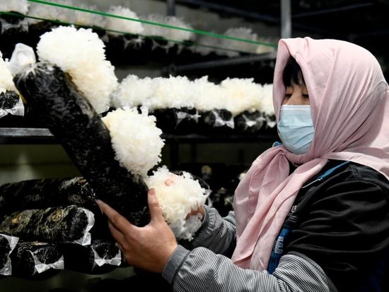 People's Daily English language App