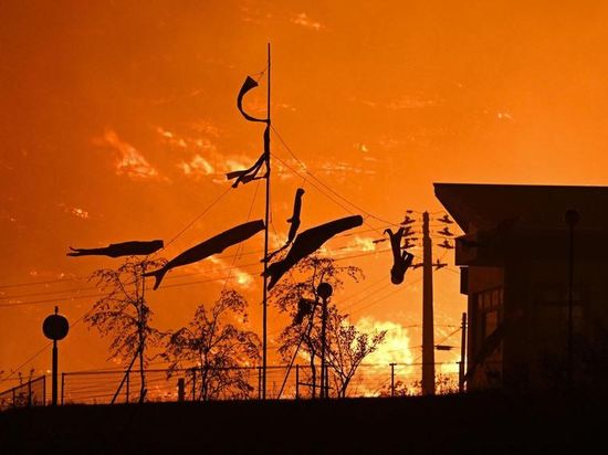 Northeast Japan wildfire expands, burns over 200 hectares