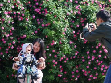 People enjoy spring flowers across China