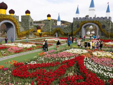 People's Daily English language App