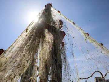 People's Daily English language App