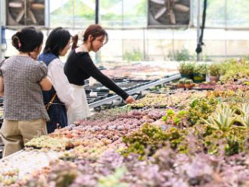 People's Daily English language App