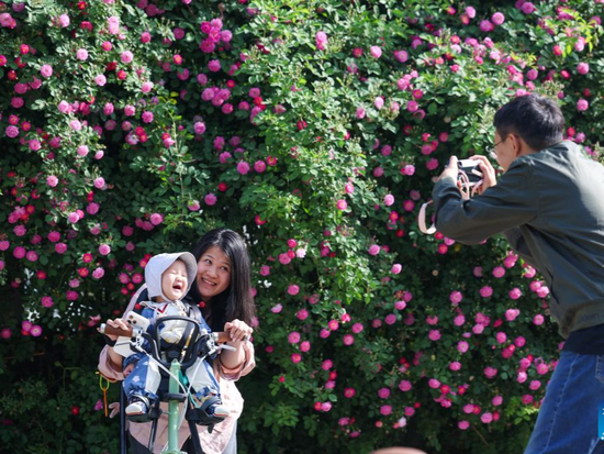 People's Daily English language App