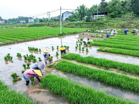 People's Daily English language App