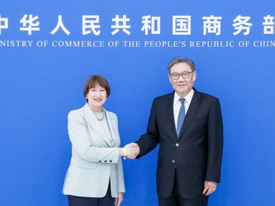 Chinese commerce minister meets VDA president, calls on association to 'play an active role' in urgi