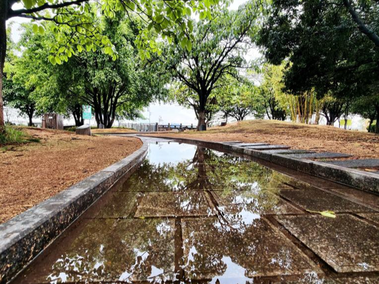 People's Daily English language App