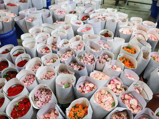 Ministry Minutes | China's zero-tariff policy for Africa shows commitment to global stability: MFA