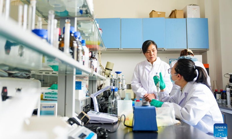 Zhang Yuhong (L) talks with her student at an institute of agricultural product development and food science in Lhasa, southwest China's Xizang Autonomous Region, April 29, 2026.Photo: Xinhua