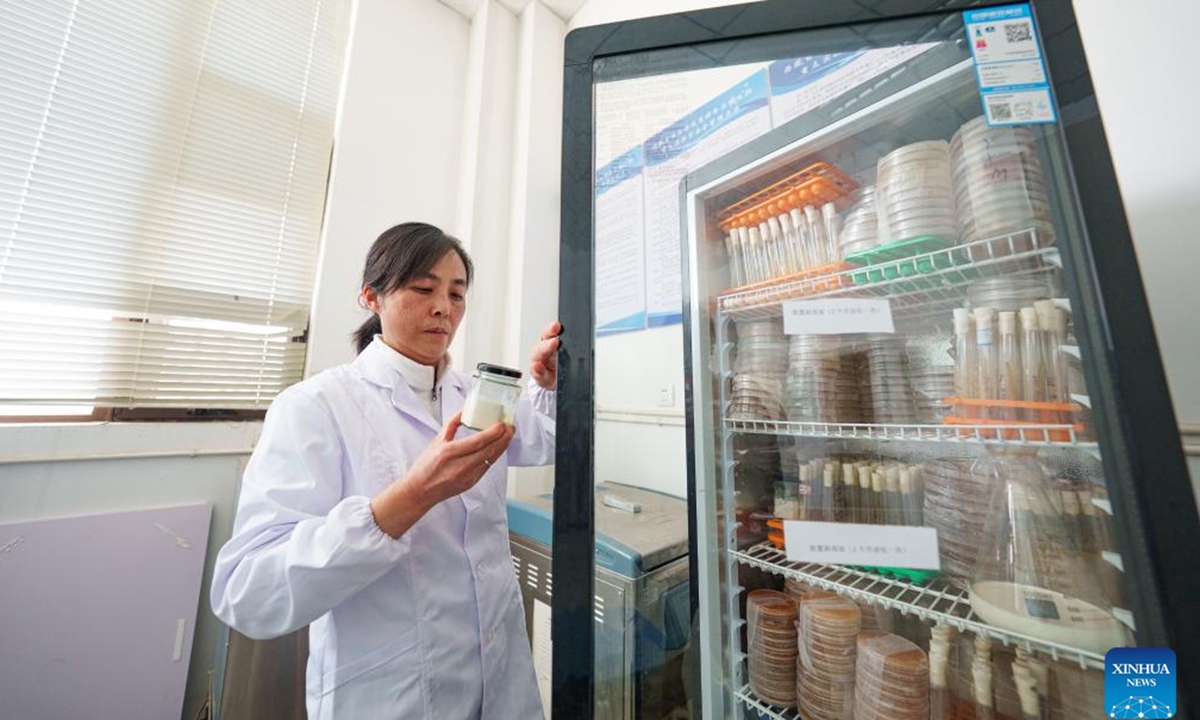 Zhang Yuhong (L) talks with her student at an institute of agricultural product development and food science in Lhasa, southwest China's Xizang Autonomous Region, April 29, 2026.Photo: Xinhua