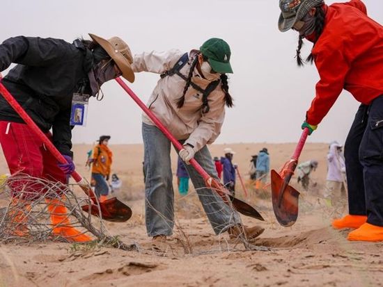 What drives young Chinese tree-planters to NW China during May Day holidays?