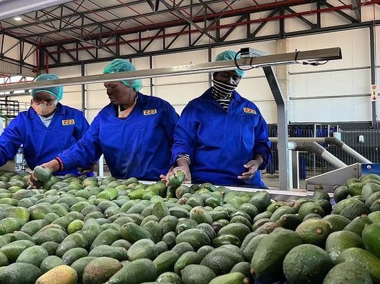 South Africa targets Chinese market with growing agricultural trade