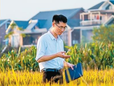 Young professionals find their calling in China's countryside