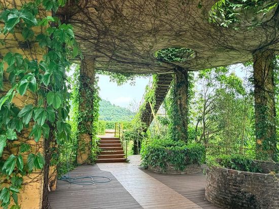 From Yangjiang to the world: Zheng Guogu's living art space