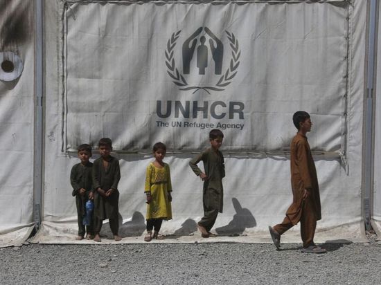 Over 13 mln Afghans struggle with food insecurity amid economic challenges: WFP