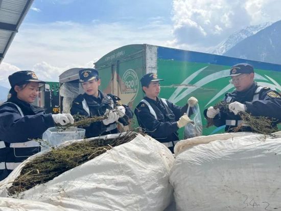 Nepal's plant-medicinal imports to Xizang surge over 189% in Q1