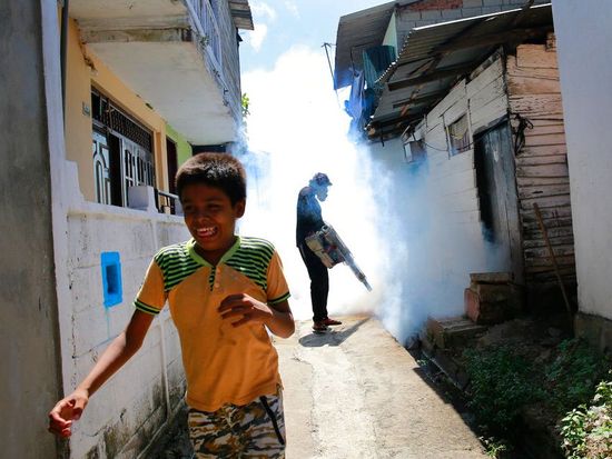 Dengue cases rise in Sri Lanka amid monsoon risk: health officials