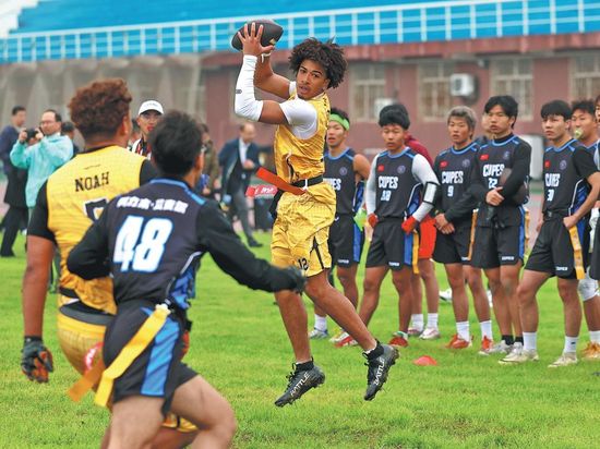 Exchanges among young people exceed expectations