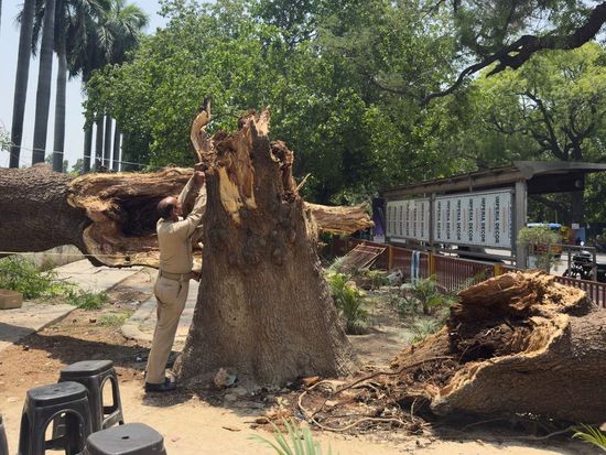 Over 80 dead in inclement weather in north India