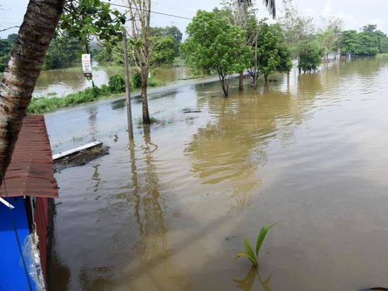 Heavy rains trigger floods in Sri Lanka