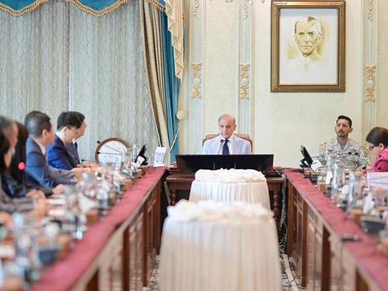 Chinese business delegation calls on Pakistani prime minister in Islamabad