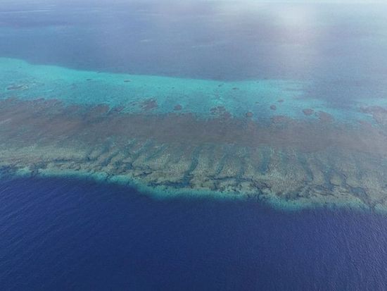 Chinese military denounces Philippines' illegal activities in South China Sea