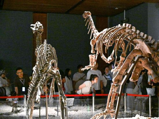 China's museums receive 1.56 billion visits in 2025