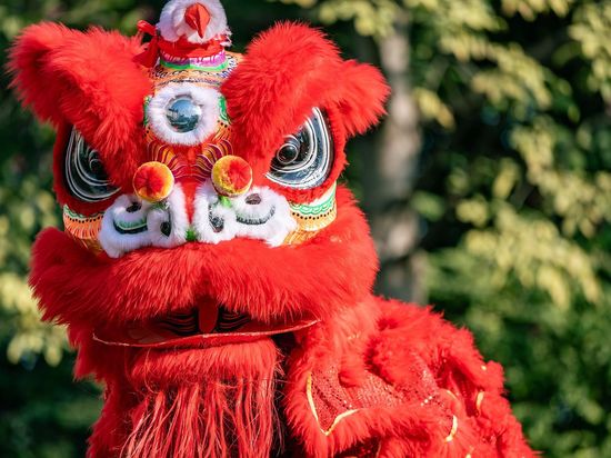 Lion dance: Leaping for fortune on plum-blossom poles