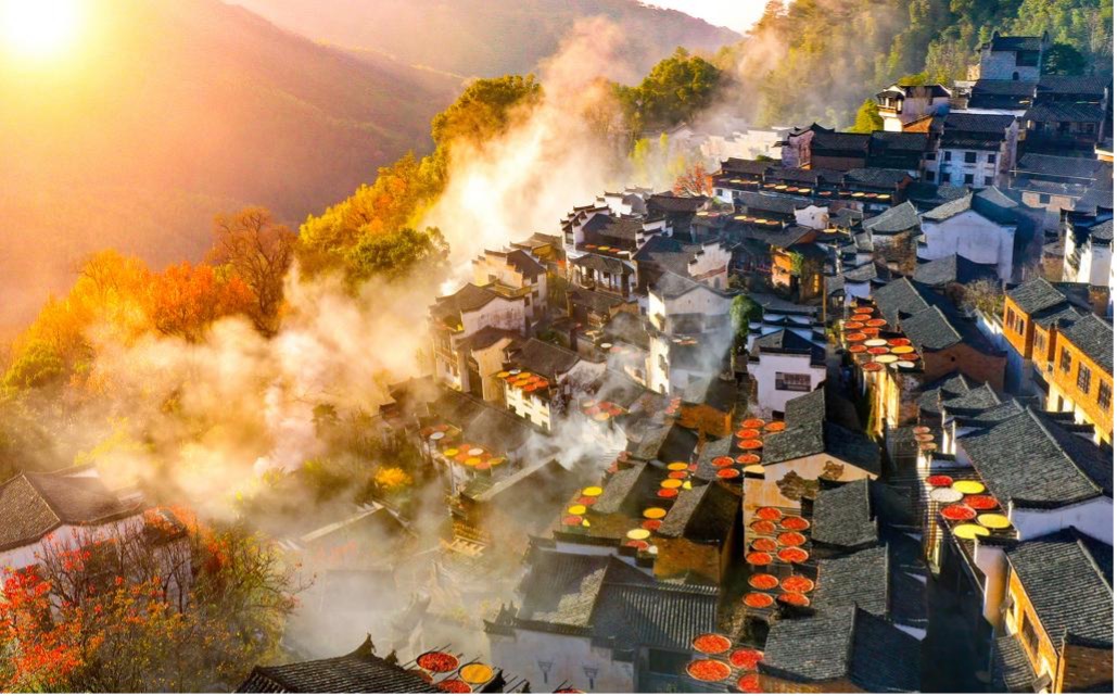 Where else do farmers hang their harvests on the cliffs? Only in Wuyuan, where autumn comes alive on the rooftops. /VCG