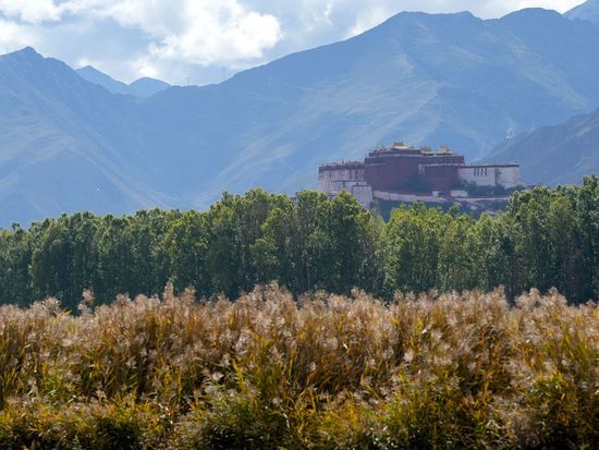 How Xizang Autonomous Region is building a greener future