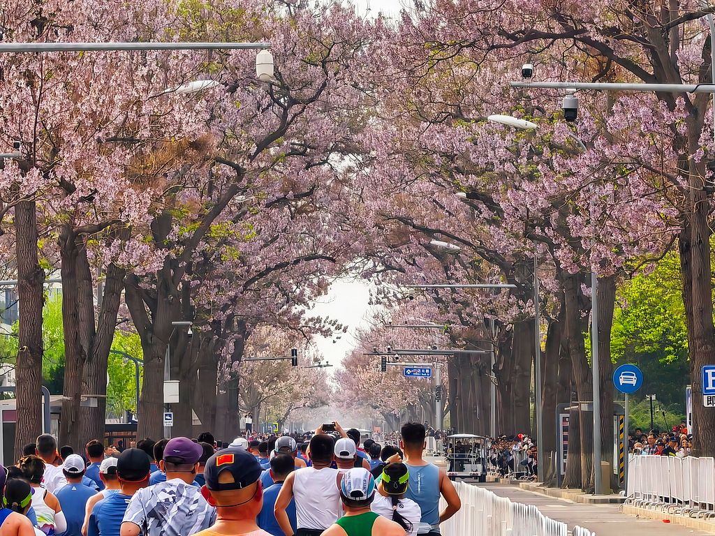 China's marathon boom: More races, faster times and deepening passion
