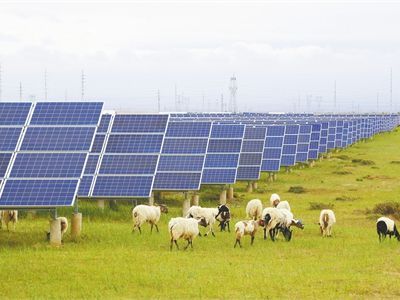 NW China’s Qinghai completes over 20b kWh in green electricity transactions: report