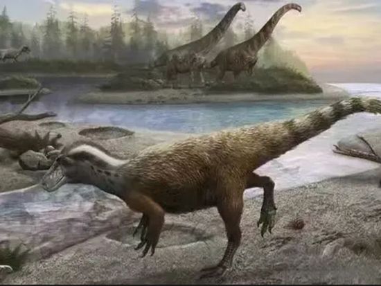 Large dinosaur footprint site discovered in Zhangjiakou reveals slowest-known carnivorous dinosaur walking speed