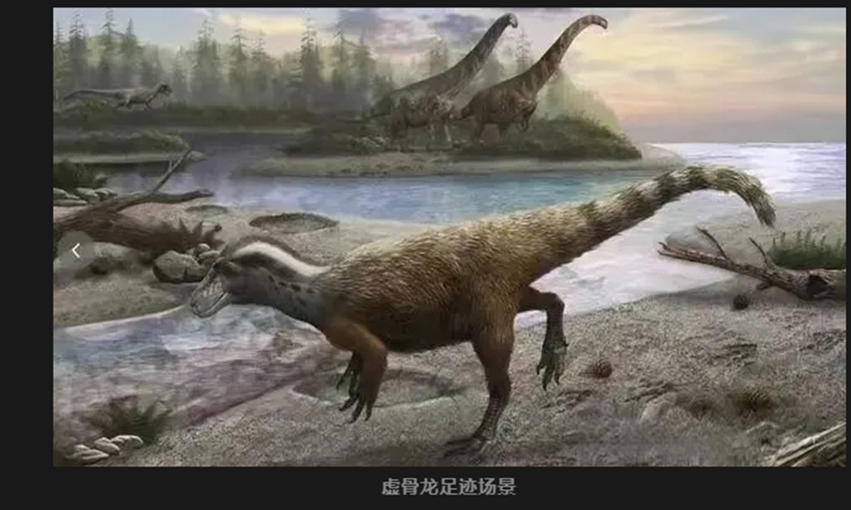 Picture of Coelurosaur. Photo: Zhangjiajie Daily