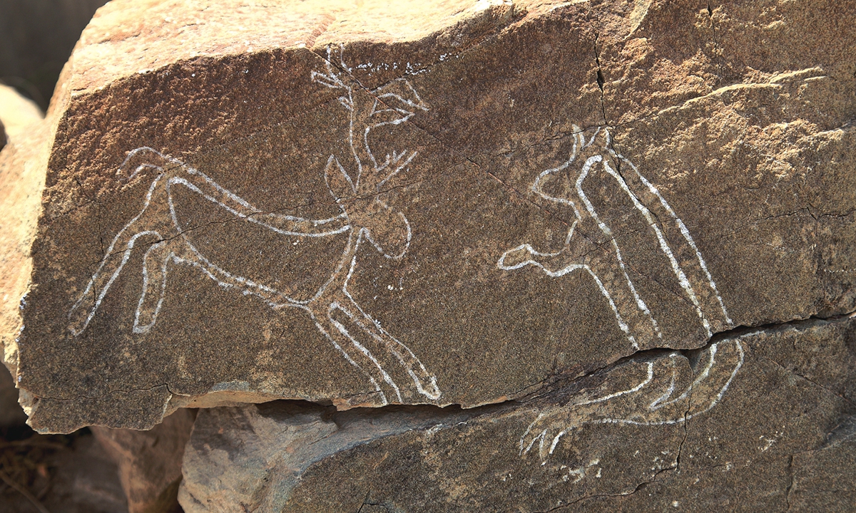 A rock carving depicts a deer and a dog in Ningxia. Photo: Helan Mountain Rock Painting Management Office