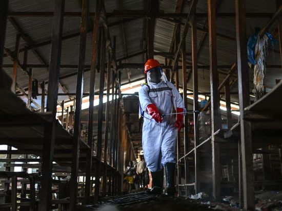Africa CDC, WHO warn over rapid Ebola spread with over 900 suspected cases