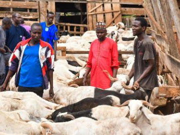 People prepare for Eid al-Adha across world