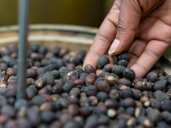 China to grant market access to eligible coffee beans from 53 African countries starting July 20