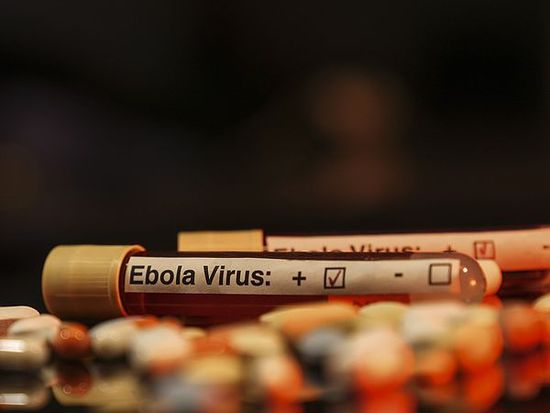 Zambia says two suspected Ebola cases test negative, steps up screening