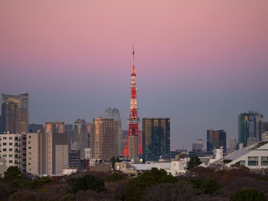 Japan ethylene plants' utilization rate hits record low in April as Middle East conflict disrupts supply