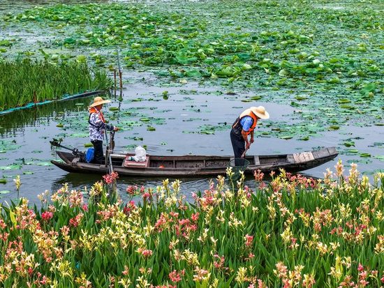 China’s role in tackling climate change highlighted at UN event in Beijing