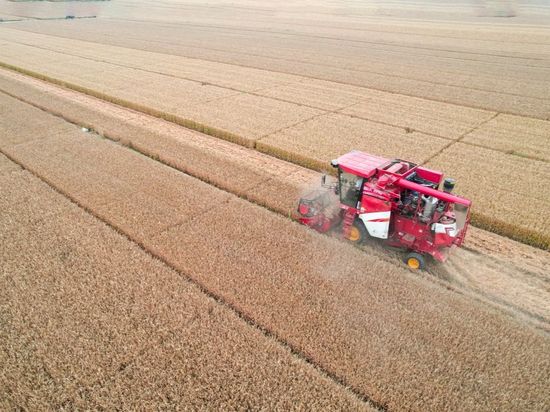 China issues 5-year plan for agricultural, rural modernization