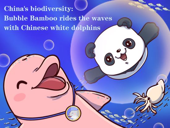 China's biodiversity: Bubble Bamboo rides the waves with Chinese white dolphins