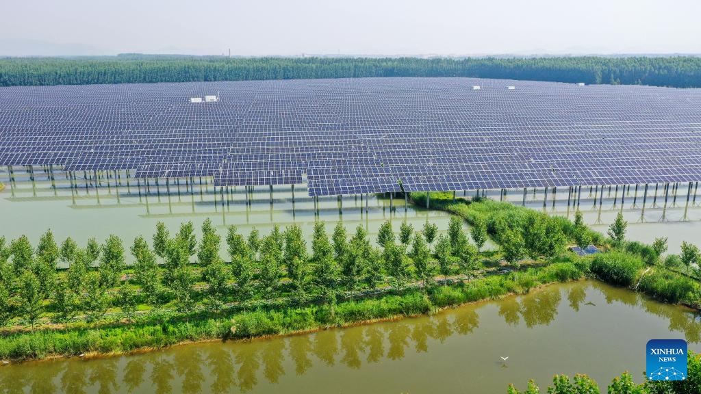 An aerial drone photo taken on June 2, 2026 shows a photovoltaic-aquaculture farm at a mining subsidence area in Binhu Town, Tengzhou City, east China's Shandong Province. Shandong Province has seen the development in its photovoltaic power sector with complementary modes in light of local conditions over recent years. These innovative modes blaze a path for three wins for clean energy exploration, ecological environment protection, and economic benefits. (Photo: Xinhua)