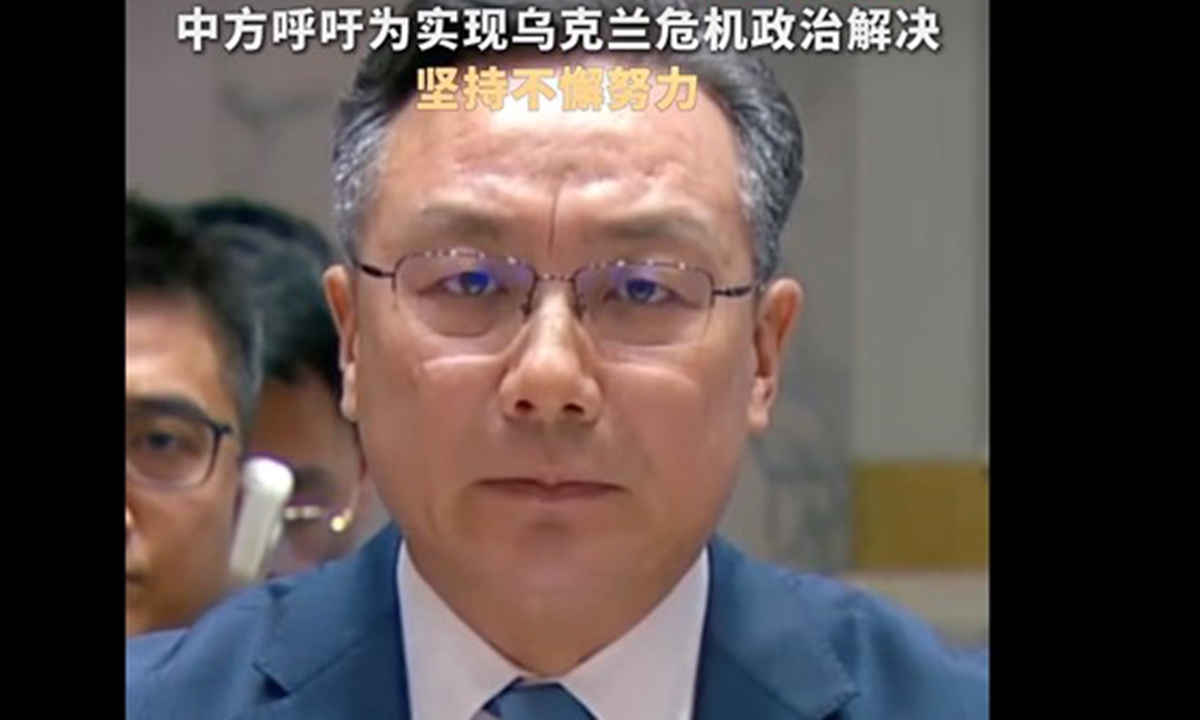 Sun Lei, China's deputy permanent representative to the United Nations Photo: Screenshot from media report