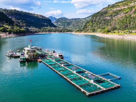 China releases 150 bln aquatic juveniles during 2021-2025 to boost biodiversity