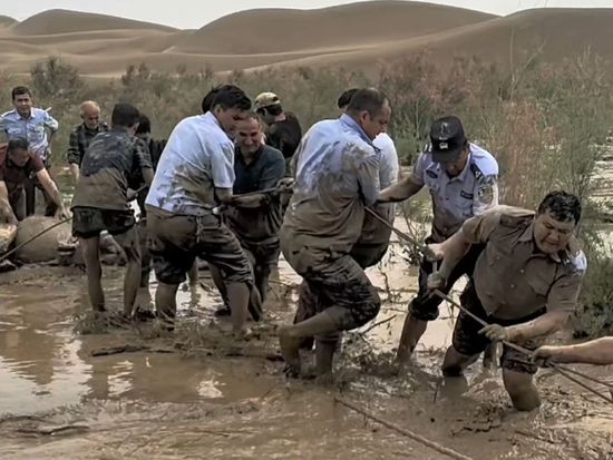 Police officers rescue camel